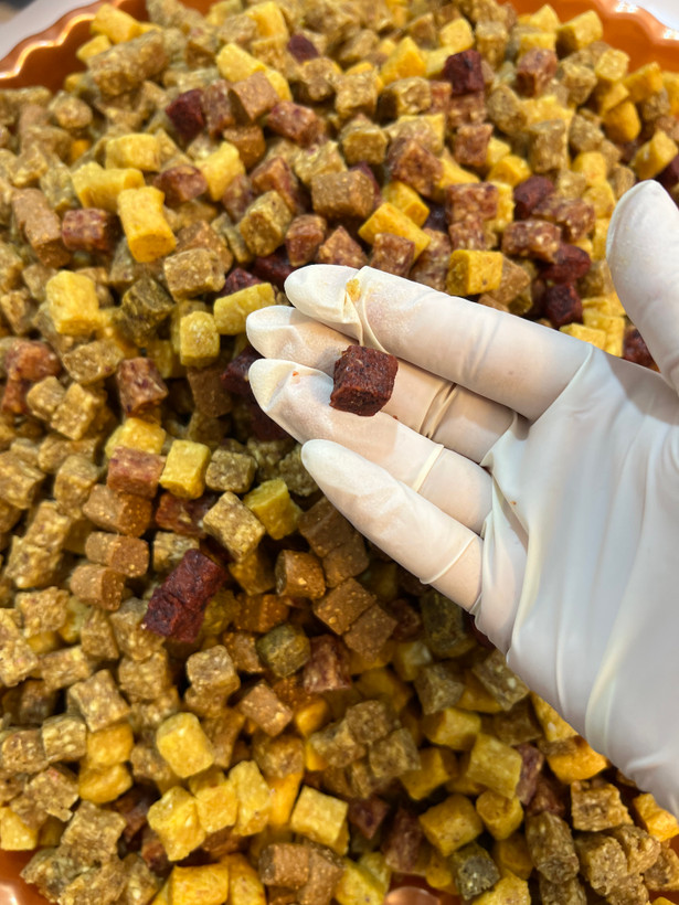 حبه میوه ایرانی