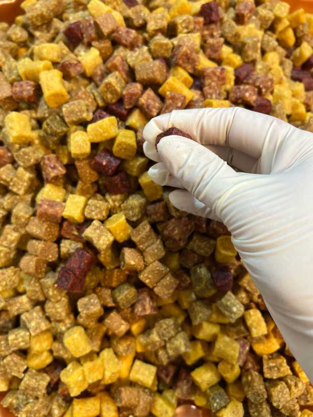 میوه خشک با کیفیت